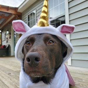 Doggie unicorn costume
